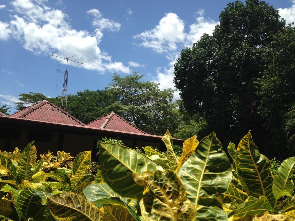 Hotel Flor De Itabo Coco Exterior foto